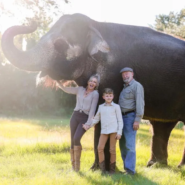 elephant-img-1