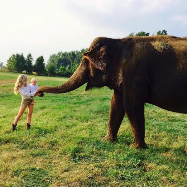 elephant-img-10