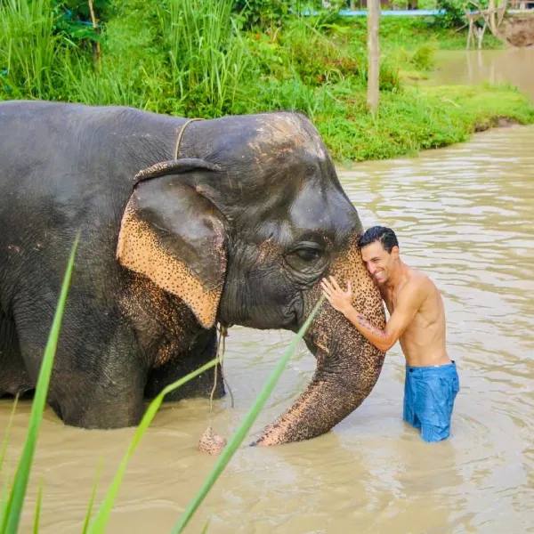 elephant-img-4