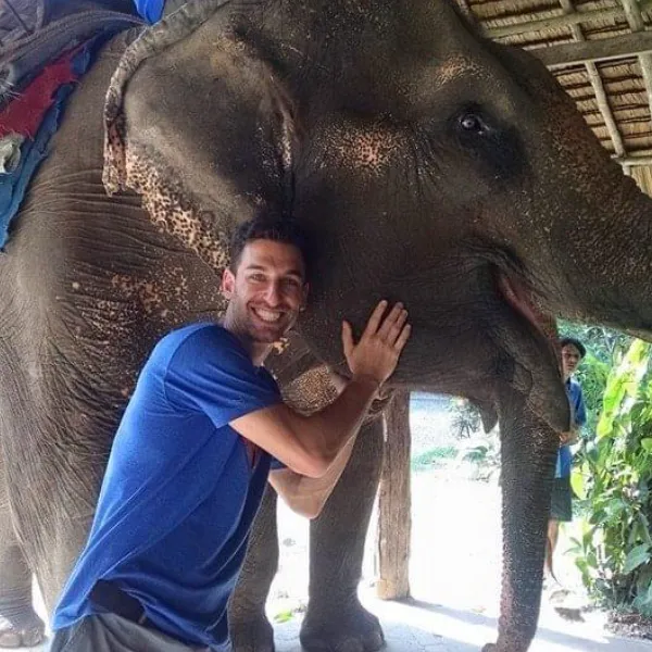 elephant-img-5
