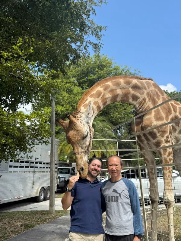 giraffe-img-2