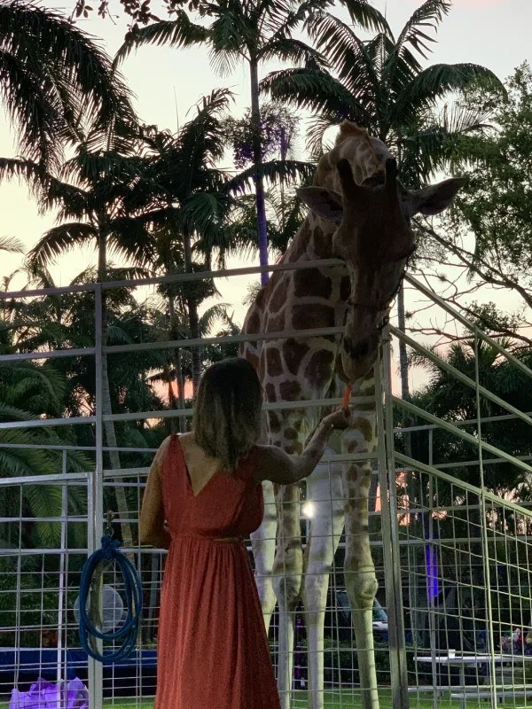 giraffe-img-5