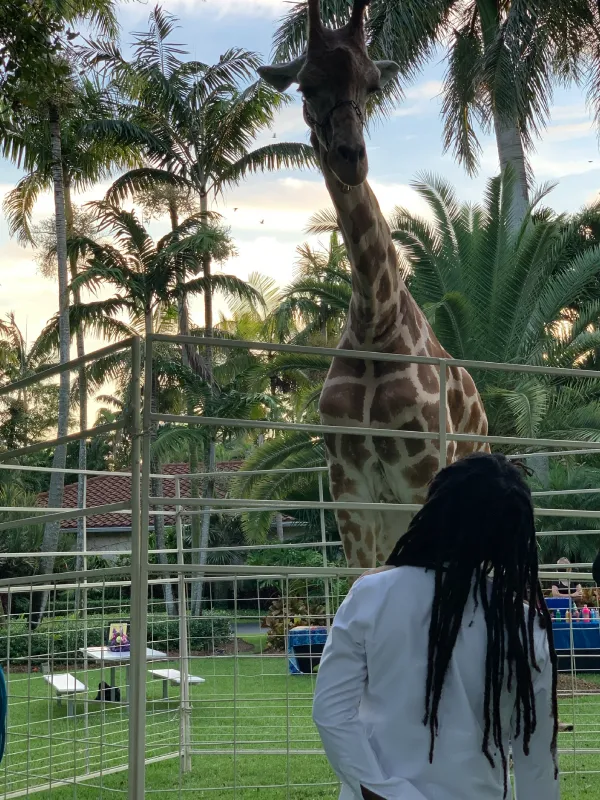 giraffe-img-6
