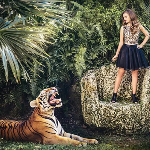 tiger-img-7